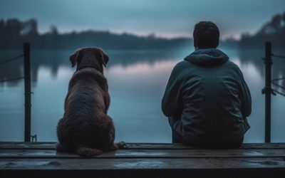 Cuánto vive un perro: todo lo que debes saber